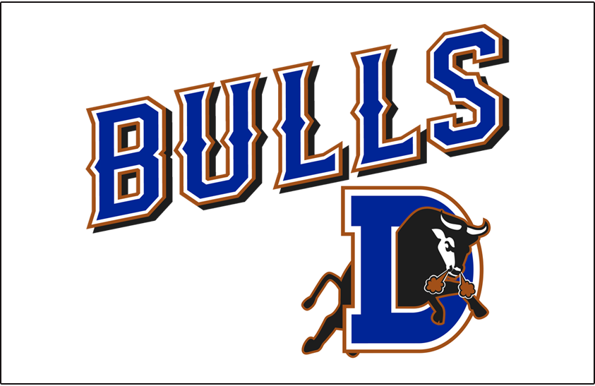 Durham Bulls 2013-Pres Jersey Logo iron on heat transfer